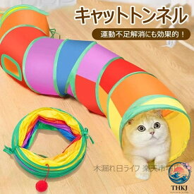 【全品2点で5%OFF】猫トンネル キャットトンネル 猫玩具 折りたたみ S 字型 Y 字型 2 穴 直径 25cm 猫トンネル 水洗い可能 コンパクト 丈夫 ストレス発散 運動不足対策 ねこおもちゃ 折りたたみ式 収納便利