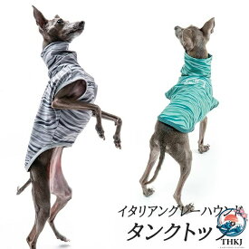 【全品2点で5%OFF】イタリアングレーハウンド ミニピン 服 夏服 イタグレ 犬服 春 夏 ナイロン ハイネック タンクトップ スポーティータンク 熱中症対策 シンプル IG0 機能性素材 ストレッチ素材 部屋着