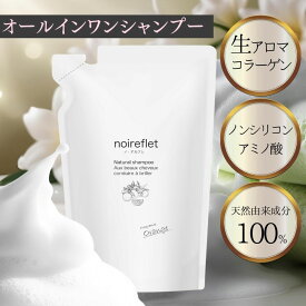 ノ・アルフレ あすなろわかさ オールインワンシャンプー パウチ シャンプー 詰め替え 送料無料 低刺激 アミノ酸シャンプー ノンシリコン ボタニカル サラサラ ヘアケア 保湿 黒髪 乾燥 ノアルフレ