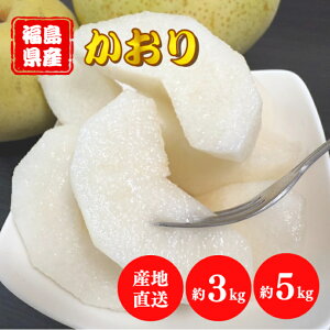 Y  Iׂ3kg`5kg     ̗ ʕ t[c fU[g  Y ̋G Yn