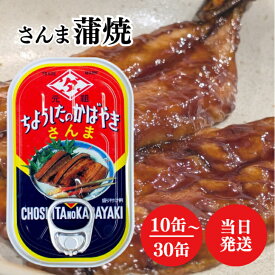 田原缶詰 ちょうした さんまの蒲焼 100g 選べる10〜30缶セット 秋刀魚 さんま サンマ 魚 おつまみ おかず 長期保存 蒲焼 ご飯のお供 田原 缶詰 かんづめ 缶ずめ 非常食 保存食 備蓄 防災 遠赤焙焼製法 千葉 銚子