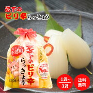 岩下食品 岩下のピリ辛らっきょう 250g 選べる1〜3袋 らっきょう ピリ辛 乳酸 発酵 熟成 風味 お徳用 お…