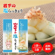 岩下食品 岩下の塩らっきょう90g 選べる1〜5袋 セット らっきょう 塩味 独自製法 風味 食感 おつまみ つ…