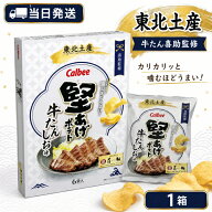 カルビー 堅あげポテト 牛たんしお味 90g（15g×6袋）1箱 東北限定 牛たん喜助監修 ポテトチップス ご当…