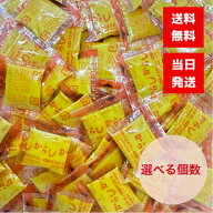 チヨダ 特製練りからし 2g 選べる個数 セット 小袋 個包装 ミニサイズ 辛子 使い切り 持ち運び 携帯 飲食…