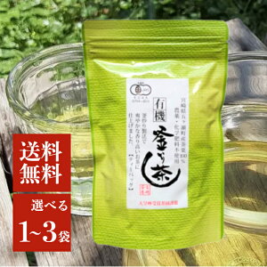 {蒃[ L@u蒃 5g×18p Iׂ1`3 eB[obO L@Β pbN u萻@ L@JAS {茧 Y  Vctܒސ _