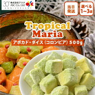 冷凍 アボカド ダイス 500g 選べる1〜3袋 トロピカルマリア 食品 野菜 皮なし スーパーフード 15mm カッ…