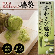 田丸屋 国産 わさび 瑞葵 42g 選べる3~9本 無着色 チューブ ワサビ 山葵 わさび wasabi 静岡 刺身 醤油 …