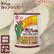きび砂糖 カップシュガー 5g×20本 選べる1~3袋 スティックタイプ さとうきび サトウキビ 甘み 砂糖 さと…