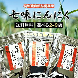 七味にんにく 90g 選べる個数 チャック付き 早池峰自然科学興業 ニンニク 大蒜 唐辛子 ピリ辛 うどん そば 豚汁 調味料 ミックス スパイス しちみ 詰め替え 詰替え とうがらし ふりかけ アウトドア ラーメン 焼き鳥