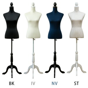 fB[Xmٗp ȈՃg\[ CN-10 AC{[ lCr[