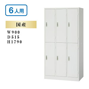 SAKLItBX bJ[ 6lp t zCg AKL-W6