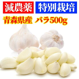 【産直】特別栽培 減農薬 にんにく バラ粒 500g【青森県産】【送料無料】【白にんにく】【にんにく料理】【健康】【ガーリック】【スタミナ料理】【抑臭】