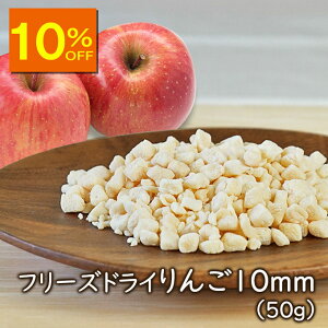 yX[p[Z[10OFFzAXUbNt[Y t[YhC 10mm(50g) S t[YhCʕ َqÂ t[c hCь P[LNbL[ACXٍ̐ޗ V