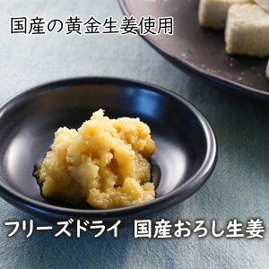 yj[Azt[YhC Y낵I EFY Y 傤 I 肨낵I  WW[ IpE_[╲̂悤Ɍvʂ̕KvȂ 퉷ۑ 