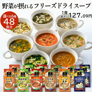 AXUbNt[Y Iׂt[YhCX[v 12܃Zbg 48H  t[YhC  X[v X` ܂˂X[v R 喞 z  lߍ킹 g}g ]bg 