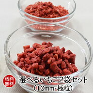 アスザックフーズ 送料無料 選べるいちご2袋セット 乾燥いちご ドライイチゴ ドライいちご フリーズドラ…