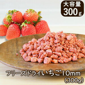 yLO1ʁzAXUbNt[Y p t[YhC 10mm 300g t[YhC t[c  C`S zCg`R `R[g  ACX P[L NbL