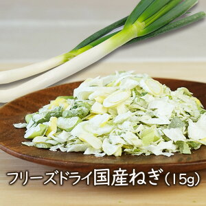 yLO1ʁzAXUbNt[Y t[YhCY˂ i15gj t[YhC lM ˂ t[YhC  X` ȒP   Ղ 