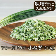 【ランキング1位】アスザックフーズ 乾燥野菜 フリーズドライ野菜 フリーズドライ小ねぎ（10g）小ネギ コ…