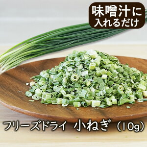 yLO1ʁzAXUbNt[Y  t[YhC t[YhC˂i10gjlM RlM lM hC˂ X` [ ؂̃AXUbNt[Y Jb