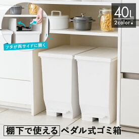 ゴミ箱 分別 スリム ペダル 棚下 おしゃれ キッチン ふた付き 縦型 大容量 ワゴン 40リットル 40l 食器棚 キッチンボード カップボード ごみ箱 ダストボックス 足踏み 両開き 新生活 【 アスベル エバン ASVEL EBAN 棚下で使える ペダル スリム 40L 】