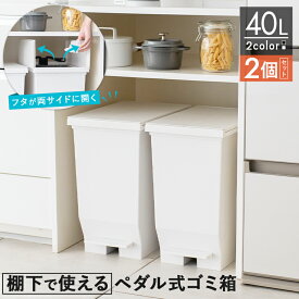 ゴミ箱 分別 スリム ペダル 棚下 おしゃれ キッチン ふた付き 縦型 大容量 ワゴン 40リットル 40l 食器棚 キッチンボード カップボード ごみ箱 ダストボックス 足踏み 両開き 新生活 【 アスベル エバン ASVEL EBAN 棚下で使える ペダル スリム 40L 2個 セット 】