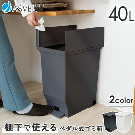 【ZIP!で紹介】ゴミ箱 分別 スリム ペダル 棚下 おしゃれ キッチン ふた付き 縦型 大容量 ワゴン 40リットル 40l 食器棚 キッチンボード カップボード ごみ箱 ダストボックス 足踏み 両開き 新生活 【 アスベル エバン ASVEL EBAN 棚下で使える ペダル スリム 40L 】