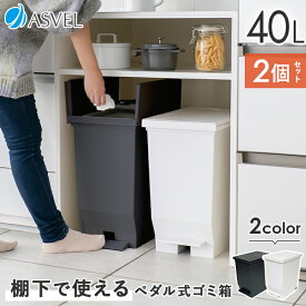 【ZIP!で紹介】ゴミ箱 分別 スリム ペダル 棚下 おしゃれ キッチン ふた付き 縦型 大容量 ワゴン 40リットル 食器棚 キッチンボード カップボード ごみ箱 ダストボックス 足踏み 両開き 新生活 【 アスベル エバン ASVEL EBAN 棚下で使える ペダル スリム 40L 2個 セット 】
