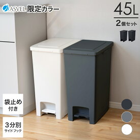 ゴミ箱 分別 限定カラー スリム ペダル おしゃれ キッチン ふた付き 縦型 大容量 ワゴン 45リットル 45l ダストボックス リビング ごみ箱 足踏み 新生活 送料無料 ブラック スタイリッシュ シンプル【 アスベル エバン ASVEL EBAN EC ペダル スリム45L 2個セット 】