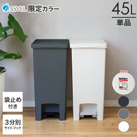 ゴミ箱 分別 45リットル スリム ペダル ふた付き 日本製 おしゃれ キッチン 縦型 大容量 ワゴン 45L ダストボックス リビング ごみ箱 無地 グレー ブラック ホワイト ディズニー ベイマックス シンプル スタイリッシュ メーカー公式 【 アスベル エバン ASVEL EBAN 】