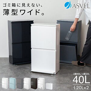 ゴミ箱 分別 スリム 縦型 2段 40リットル 日本製 おしゃれ キッチン 収納ボックス ふた付き 省スペース 2分別 