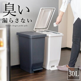 ゴミ箱 分別 スリム 30リットル ペダル ランキング受賞 おしゃれ キッチン ふた付き 蓋付き 分別ゴミ箱 縦型 大容量 密閉 ワゴン 30l ダストボックス 防臭 臭わない 生ゴミ パッキン付き ブラック ホワイト セット 日本製 公式 【 アスベル エバン ASVEL EBAN 30L 】