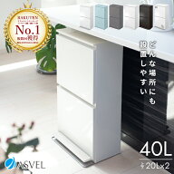 ランキング受賞 ゴミ箱 分別 【限定カラー】 スリム 縦型 2段 おしゃれ キッチン ふた付き 2分別 大容量 …