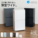ゴミ箱 分別 スリム 縦型 2段 40リットル 日本製 おしゃれ キッチン 収納ボックス ふた付き 省スペース 2分別 大容量 …