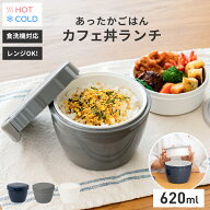 ランキング受賞 弁当箱 保温弁当箱 お弁当箱 丼 保温 軽量 レンジ対応 食洗機対応 冷蔵 抗菌 2段 ランチ…