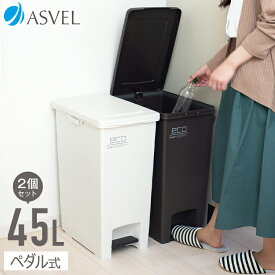 ゴミ箱 分別 スリム おしゃれ キッチン ふた付き ペダル 縦型 大容量 45リットル 45l ダストボックス おしゃれ リビング ごみ箱 【 アスベル エバン ASVEL EBAN ペダル スリム 45L SD 2個セット 】