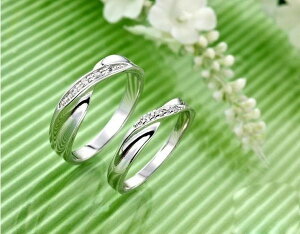 AΉ w ANZT[ WG[ lC s   v[g Mtg g` O w AM[ 18kR[eBO fB[X rW[ o[ I[vO 6