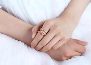 AM[ΉfB[X L[rbNE WRjA т w t[TCYO 蕨 11/12/13/14/15/16/17/18/19/20/21/22/23 _Ch