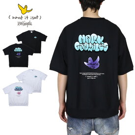 【11%OFF】【MAX85%OFF 楽天スーパーSALE！限定クーポン配布中】マークゴンザレス Tシャツ (What it isNt)MARK GONZALES 半袖Tシャツ トップス メンズ レディース ブランド 大きいサイズ おしゃれ おすすめ 人気 黒 mark25ss005 ブラック アッシュグレー M L XL
