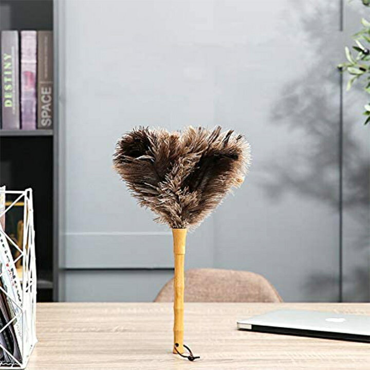 楽天市場 送料無料 Linodes はたき ほこり取り ダチョウの毛 家庭用 車用 掃除道具 部屋掃除 竹の柄 ふわふわ おしゃれ Asyusyu