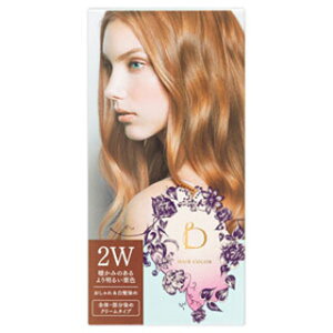 yz xltB[N@wAJ[@2W@ĝ݂薾邢IF(z敪:A1)