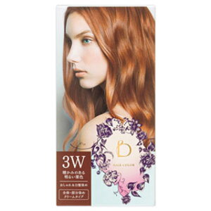 @xltB[N@wAJ[@3W(z敪:A1)