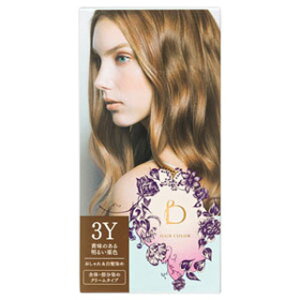 yz xltB[N@wAJ[@3Y@̂閾邢IF(z敪:A1)