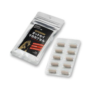 OTTOPIN@IbgZC}JJvZ@20(z敪:A2)