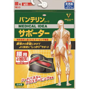 oeR[T|[^[ p^Cv 傫 LTCY ubN(z敪:A2)