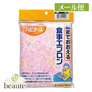 �s�W�����@�n�r�i�[�X�@���܂ł�������H���G�v�����@�ԕ��i�s���N�j�m�l�R�|�X�z��2�n