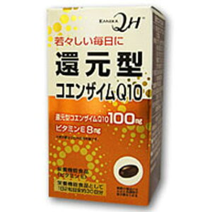 P@Ҍ^RGUCQ10@60(z敪:A2)