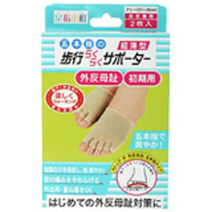 s炭炭T|[^[@ܖ{w^Cv(z敪:A2)