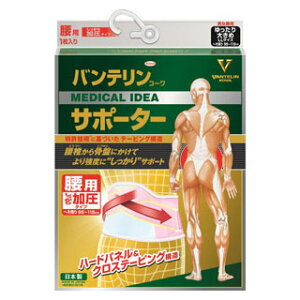 oeR[T|[^[@p^Cv@傫߃TCY@pXesN(z敪:A2)